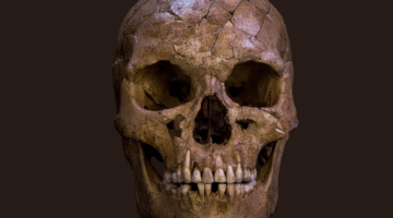 Prije 12.000 godina neko ili nešto je ubilo ovog čovjeka. Međutim, niko ne zna šta