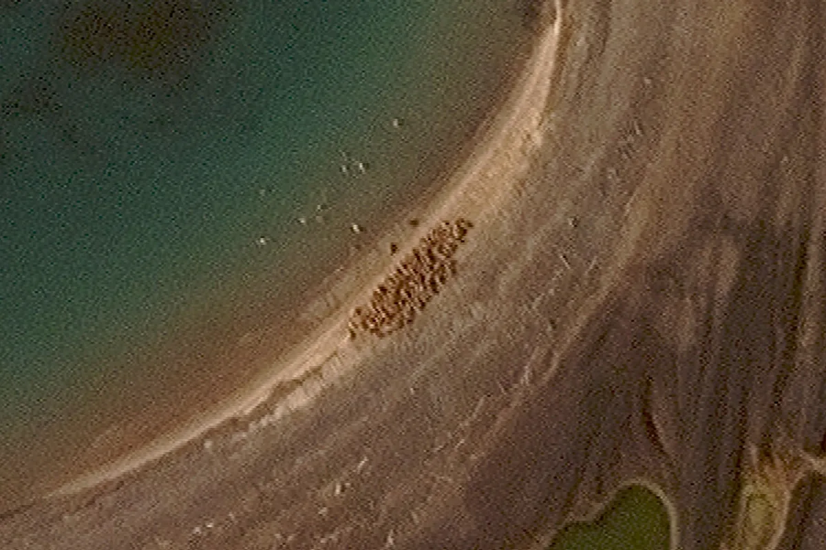 Satelitski snimci otkrili nešto što do sada nije zabilježeno u historiji