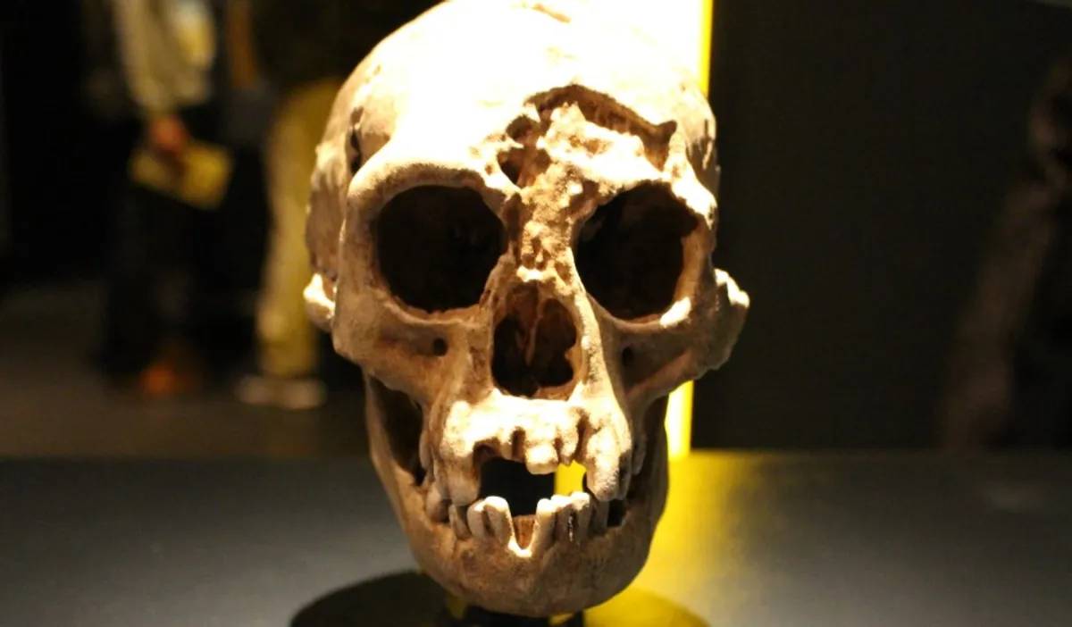 Zemljom su prije 60.000 godina hodali ‘ljudi-hobiti’. Niko ne zna zašto su izumrli