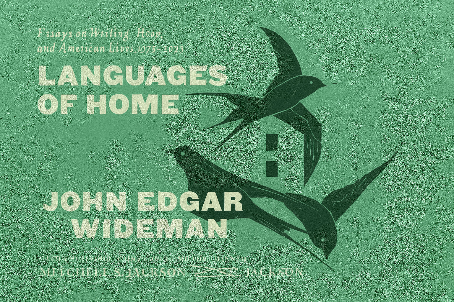 Ja sam moja publika: Widemanov put kroz “Jezike doma”