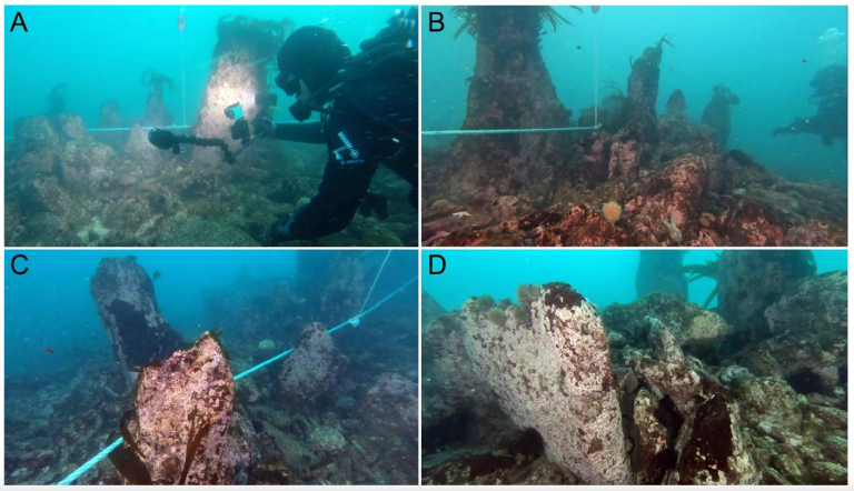 Na dnu okeana pronađen zid star 7.000 godina. Međutim, to je samo početak misterije